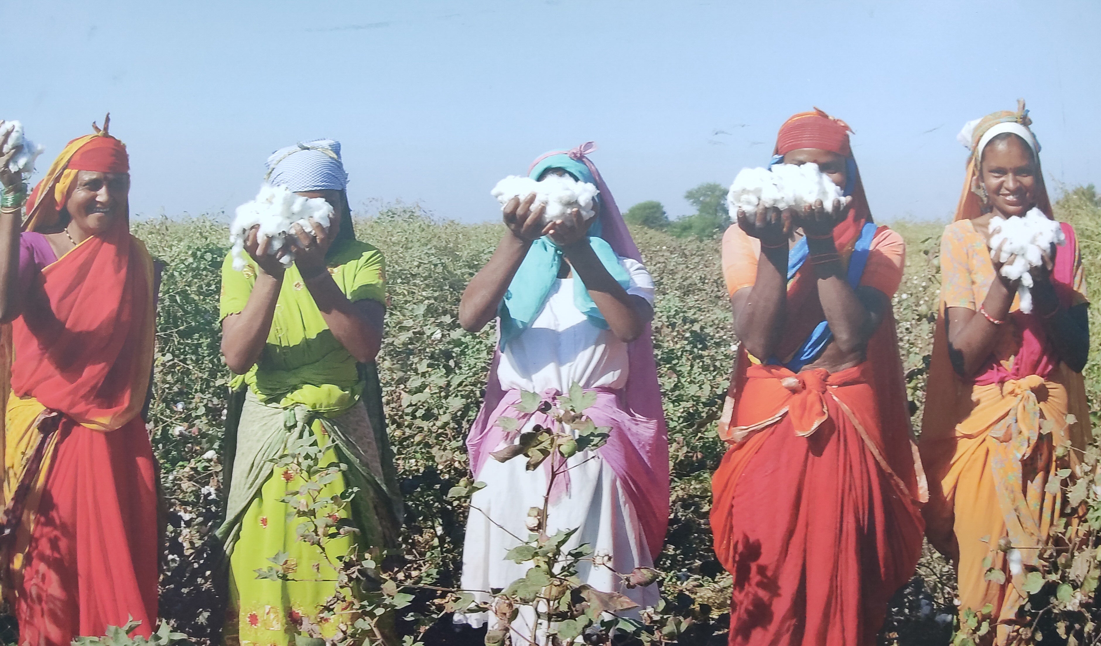 There Is No Sustainability Without Transparency