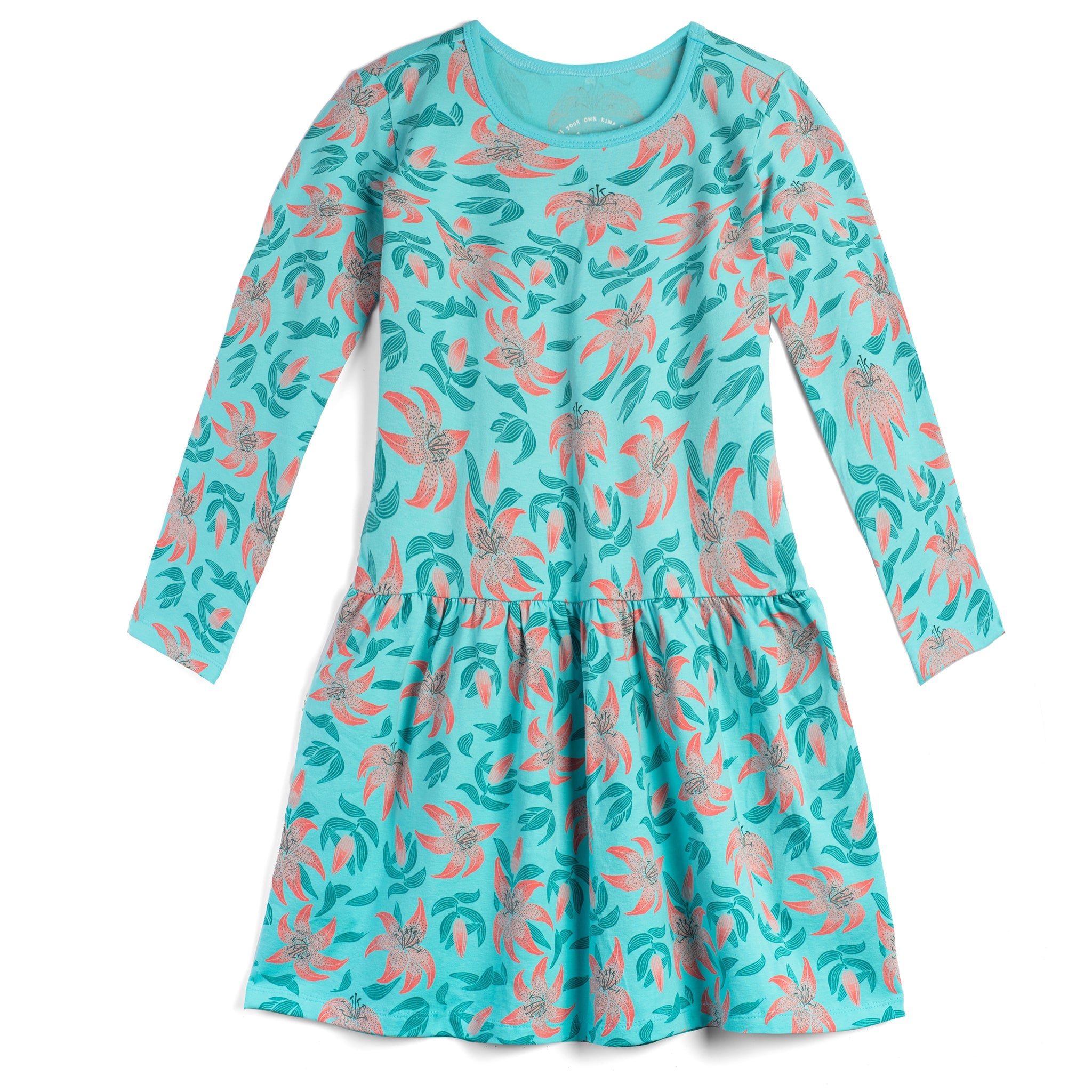 Toddler Long Sleeve Drop Waist Dress - FINAL SALE