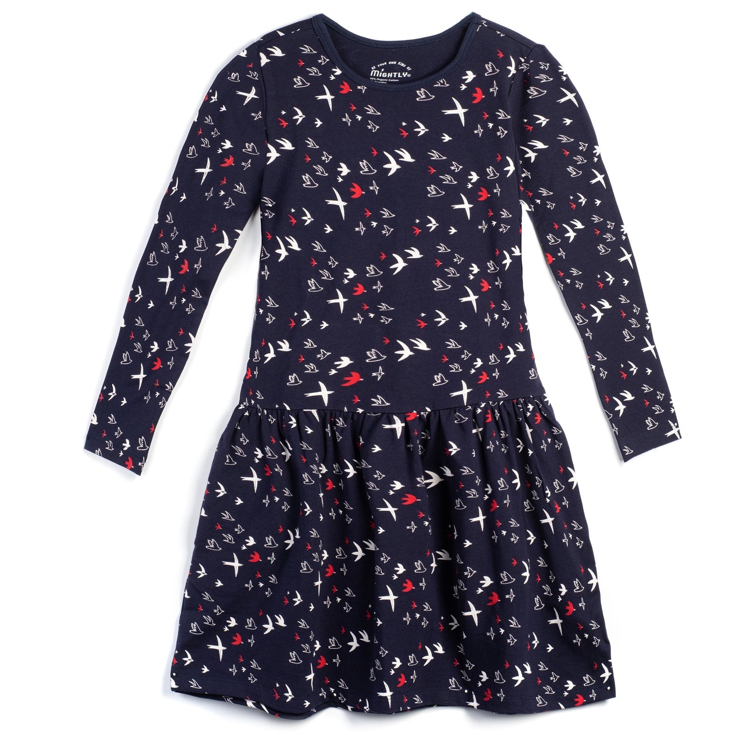 Toddler Long Sleeve Drop Waist Dress - FINAL SALE