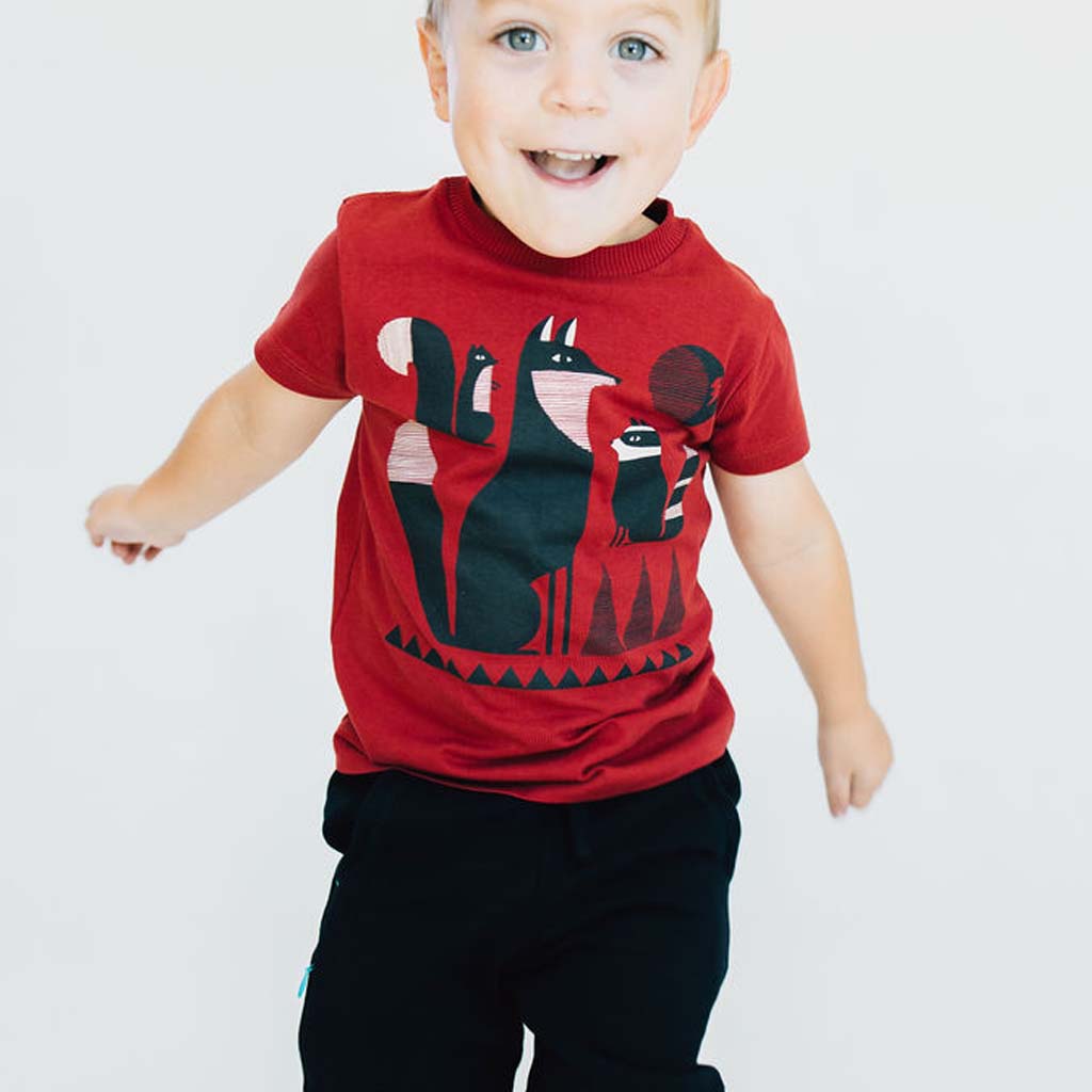 Organic Cotton Kids Graphic Tee 2-Pack