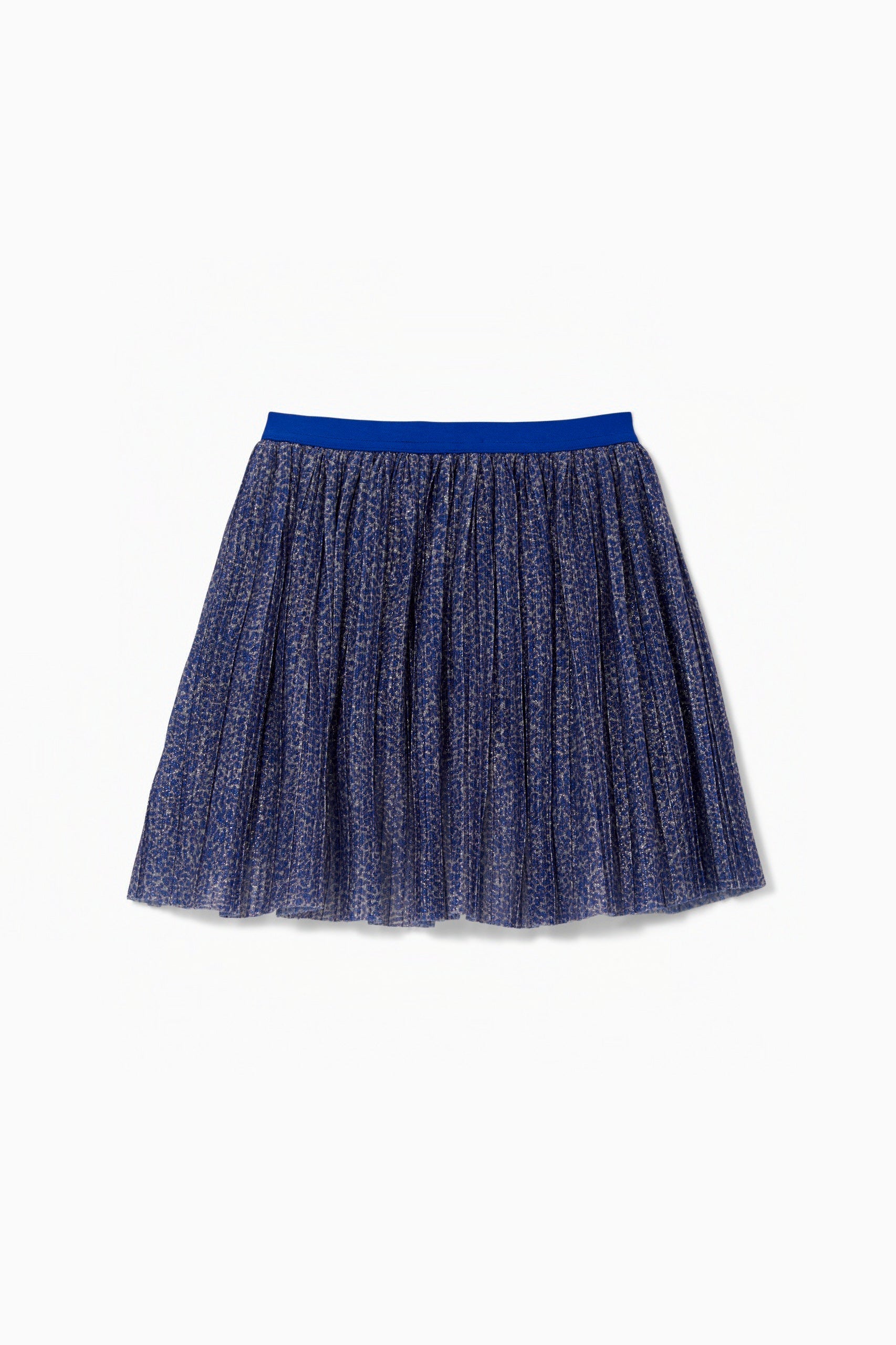 Shimmer Pleated Skirt - FINAL SALE