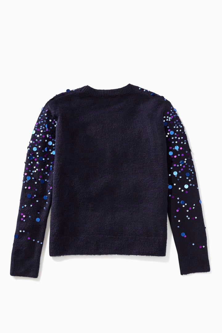 Paillette Sprinkle Sweater