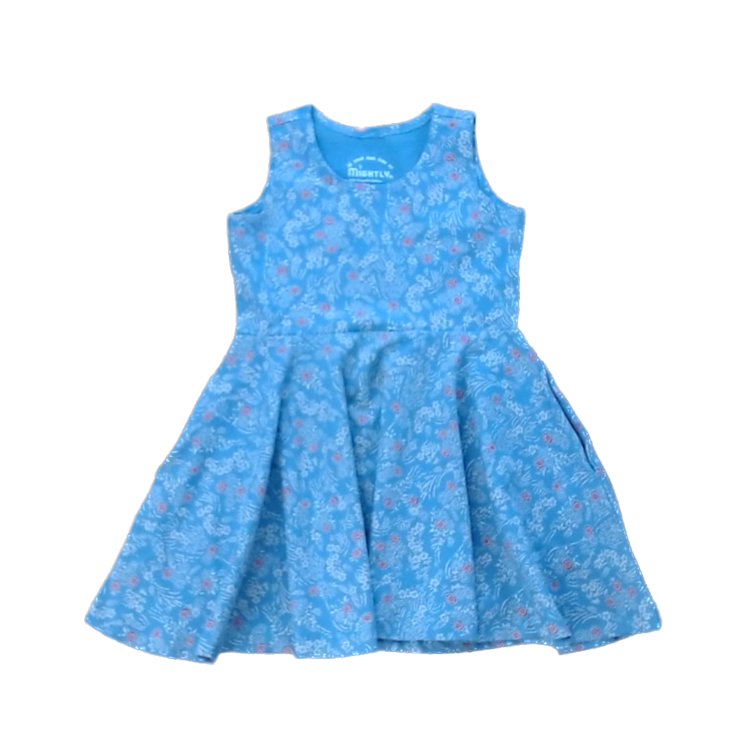 Pre-owned Blue | White and Red Flowers Dress size: 2T Blue | White and Red Flowers