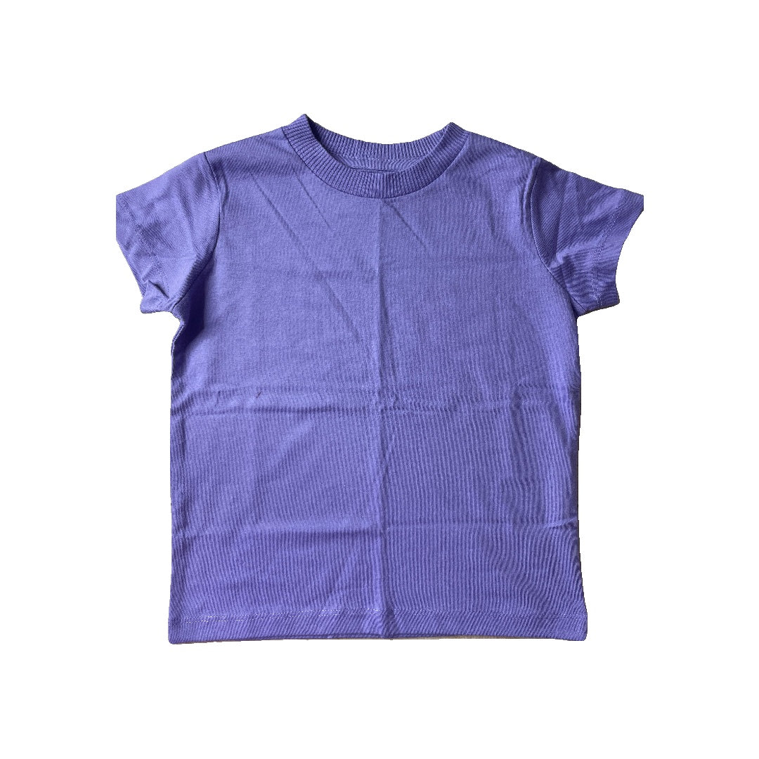 Pre-owned Shirt size: 2T