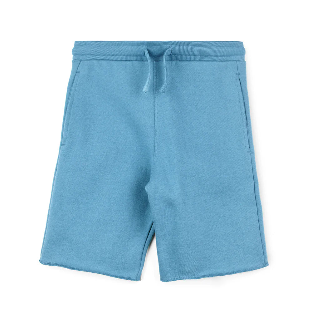 Pre-owned Blue Shorts size: 6-14 Years Blue